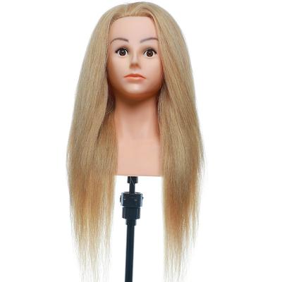 Mannequin stand  mannequin bust 100 human hair hairdressing mannequin training head USA