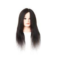 Hair mannequin head suppliers hairdressing curly human hair wigs manikin head AAAA